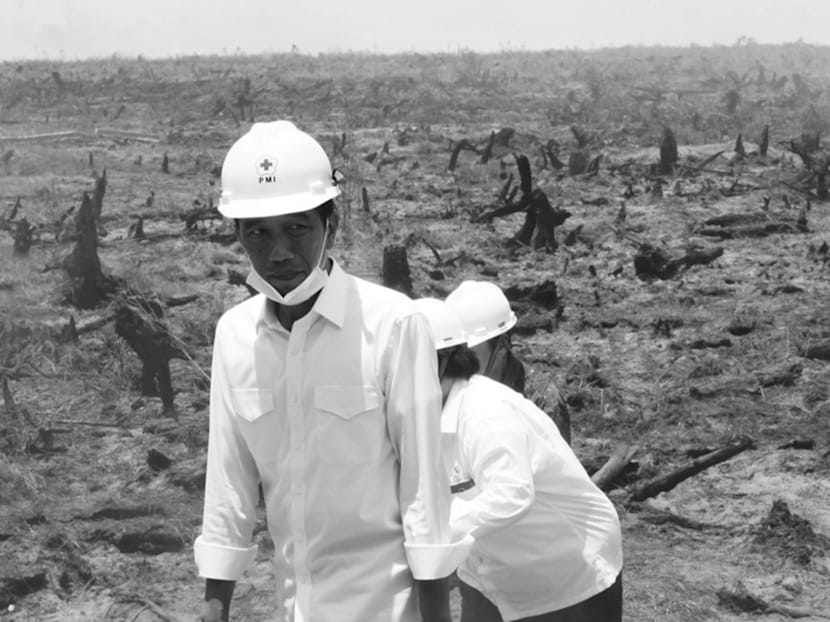 Cooperation, not confrontation, needed to tackle haze