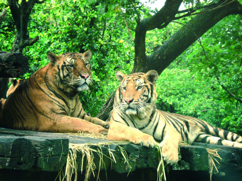 Usual destinations, unusual experiences