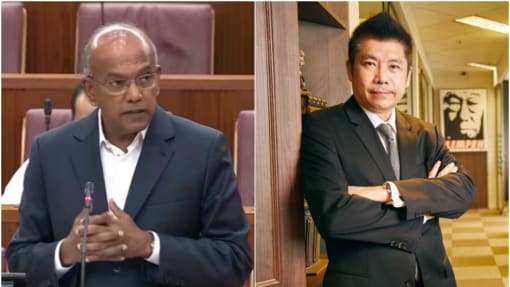 Law and Home Affairs Minister K Shanmugam rebukes Law Society vice-president over comments on rape case