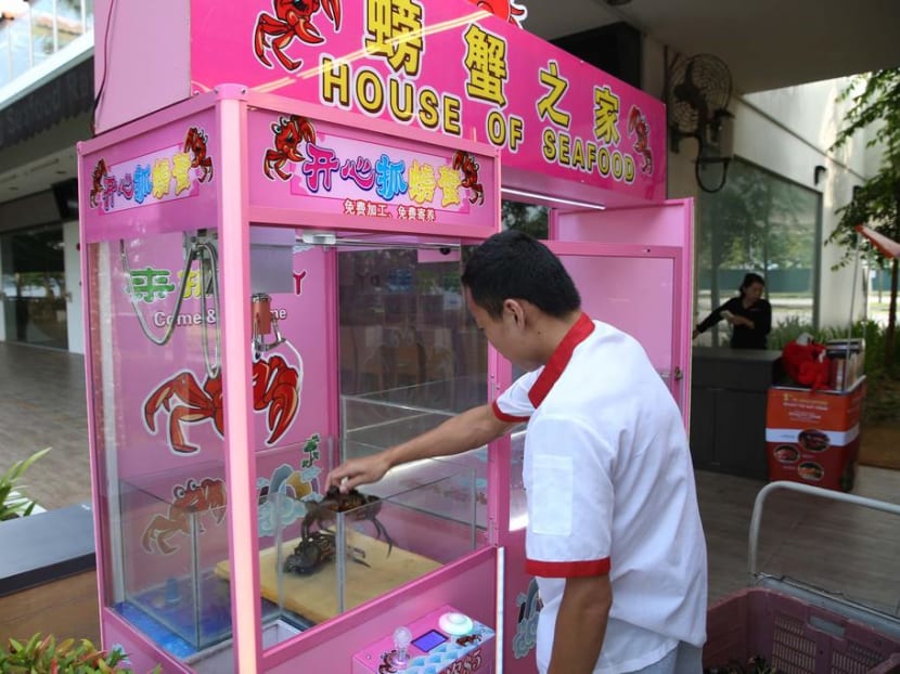 Many TODAY readers condemned the House of Seafood restaurant in Punggol over its “claw” machine that allowed users to catch live crabs. Many TODAY readers condemned the House of Seafood restaurant in Punggol over its “claw” machine that allowed users to catch live crabs.