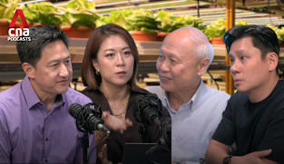 Deep Dive Podcast - Can Singapore farm its way to better food security?