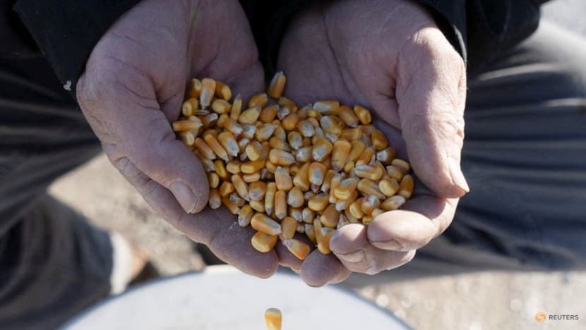 Vietnam says ready to import more US farm goods as trade risks rise