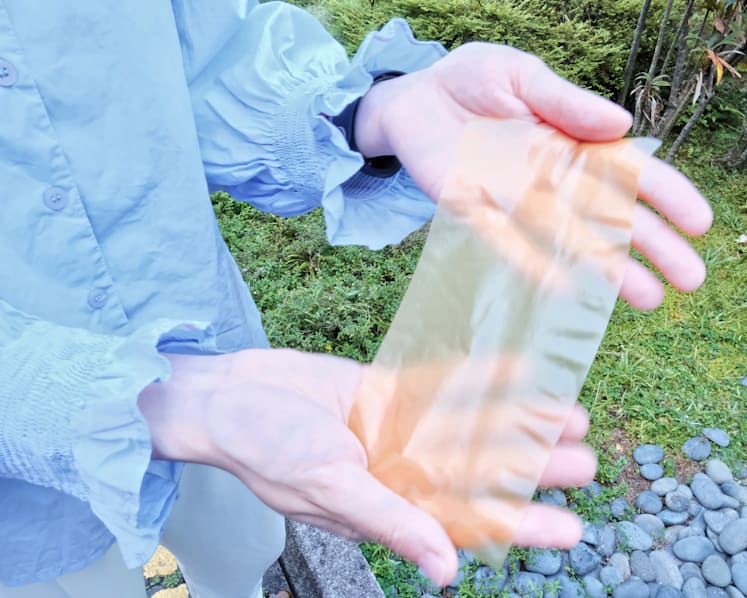NTU scientists say their eco-friendly reusable pollen-based paper could be alternative to conventional paper