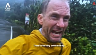 What's Coming Up - The Typhoon Detectives