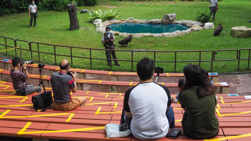 Every S'porean aged 18 and above to get S$100 vouchers to boost domestic tourism; visitor caps at attractions raised