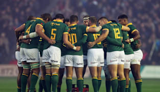 Springboks focused on job at hand against wounded Argentina