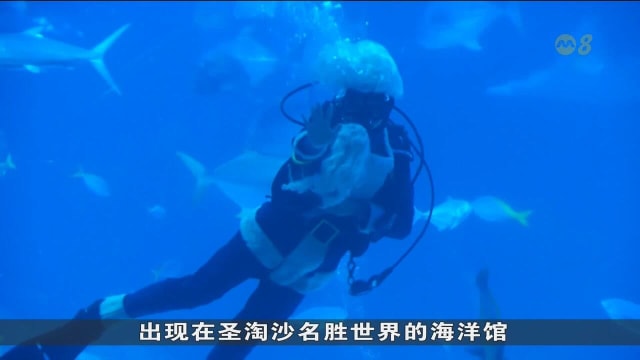 圣诞假期亲子出游 海洋馆与农场各有亮点