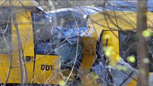 丹麦火车迎头相撞 至少17人伤