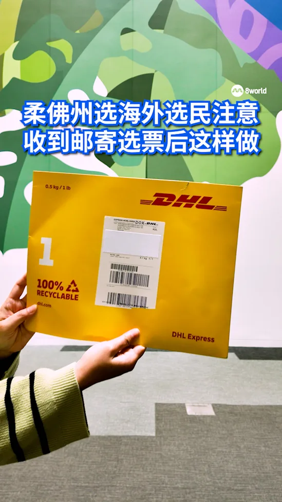 一文看懂！海外邮寄选票怎么投？