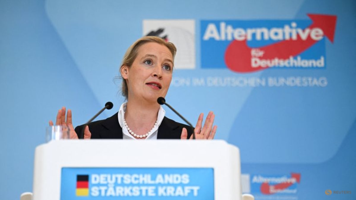Germany's far-right AfD investigates publication of emails stolen in cyberattack