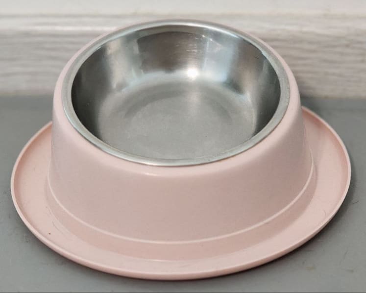 Man charged with failing to give pet cat enough food and water, resulting in its death