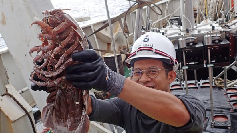 S’pore and Indonesia researchers uncover at least 12 new species off Java