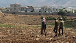 Related article image