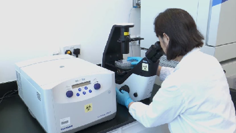 Saintis NTU berjaya hasil 'ginjal mini' di makmal untuk uji ubat