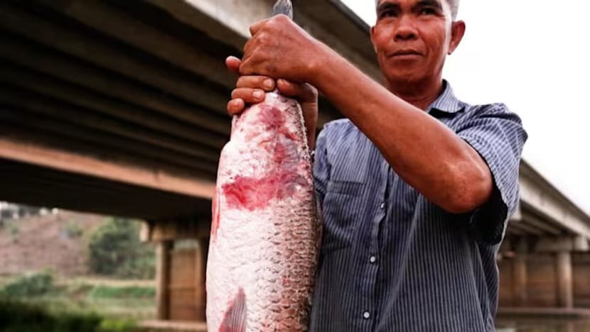 Pergulatan Thailand menghadapi sungai beracun dan dampak tambang-tambang Myanmar
