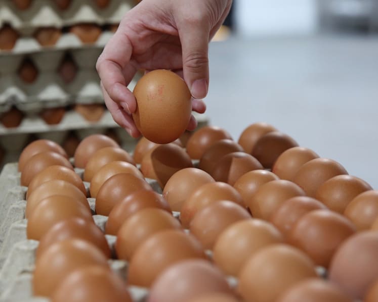 The Big Read in short: As vegetables, eggs fly off the shelves, importance of food security hits home