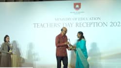 Related article image