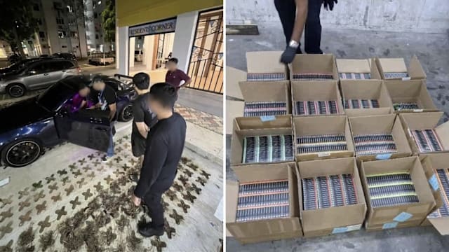 通过货运走私9200多个电子烟弹 25岁本地男被捕