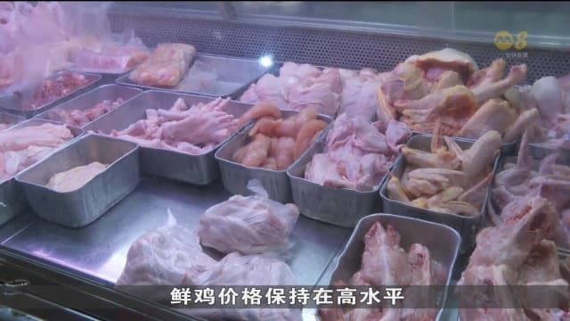 马国养鸡成本有下滑迹象 活鸡价格料年底回跌 