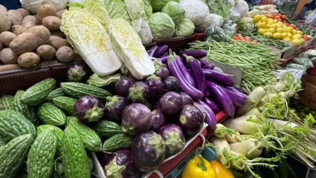 马国暴雨致蔬菜减产涨价 出口至狮城蔬菜料减一成