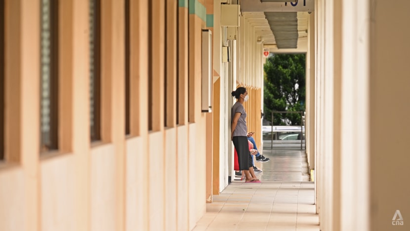 MPs suggest more ways to support Singaporean families who rely on maids for caregiving needs MPs suggest more ways to support Singaporean families who rely on maids for caregiving needs