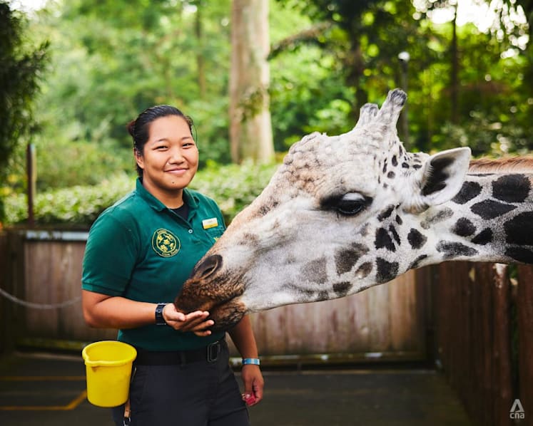 This 25-year-old filmmaking student veered off the beaten track to care for rhinos, giraffes and zebras