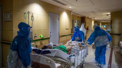 Related article image