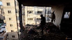 Related article image