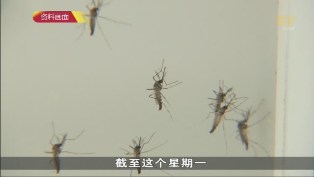 我国骨痛热症病例连续两周增加 上周新增211起病例