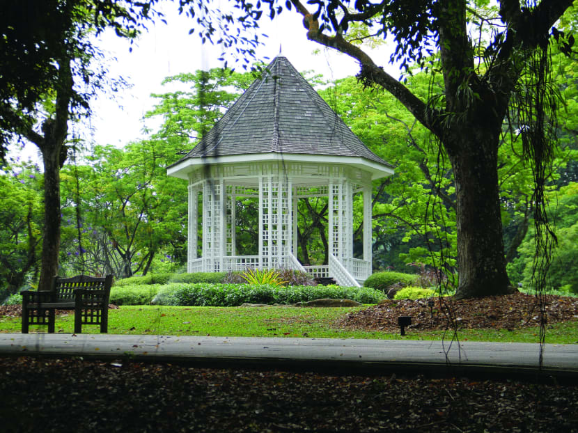 Botanic Gardens is S’pore’s first UNESCO World Heritage Site