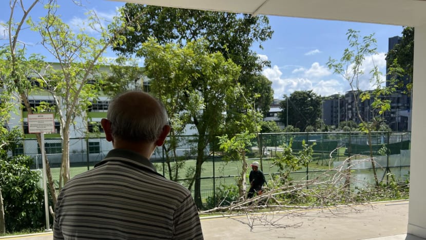 'Heartbreaking': Residents lament chopping down of 'unauthorised' trees at Aljunied HDB block 'Heartbreaking': Residents lament chopping down of 'unauthorised' trees at Aljunied HDB block