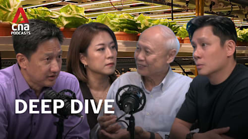 Deep Dive - With new 2035 targets, can Singapore farm its way to improved food security?