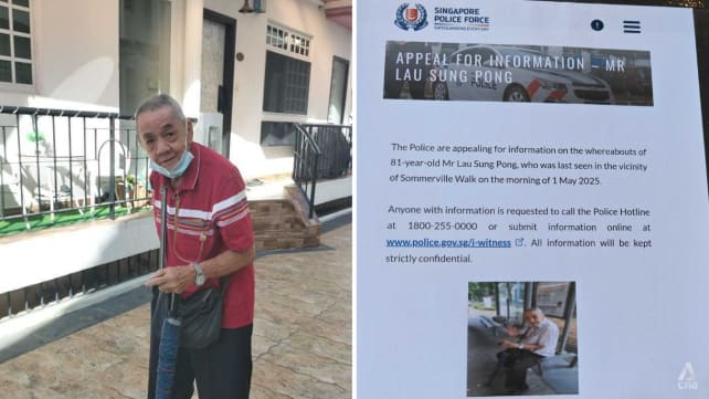 IN FOCUS: What happened when an elderly man with dementia went missing for 6 days, and the lessons we can learn