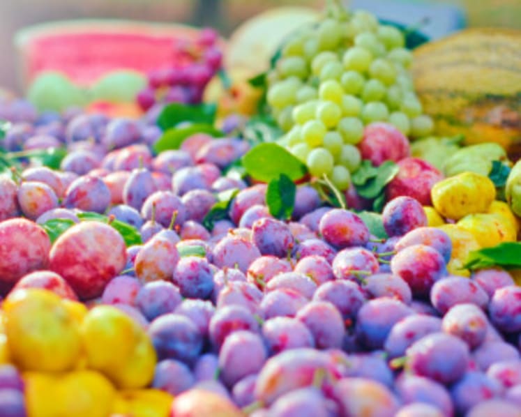 Jiashi, the County with a Touch of Sweetness