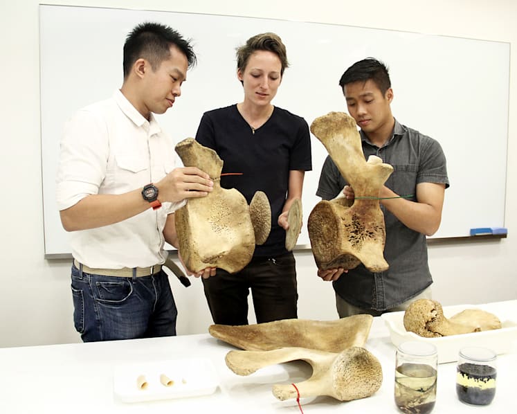 Museum hopes donors will make a whale of a difference