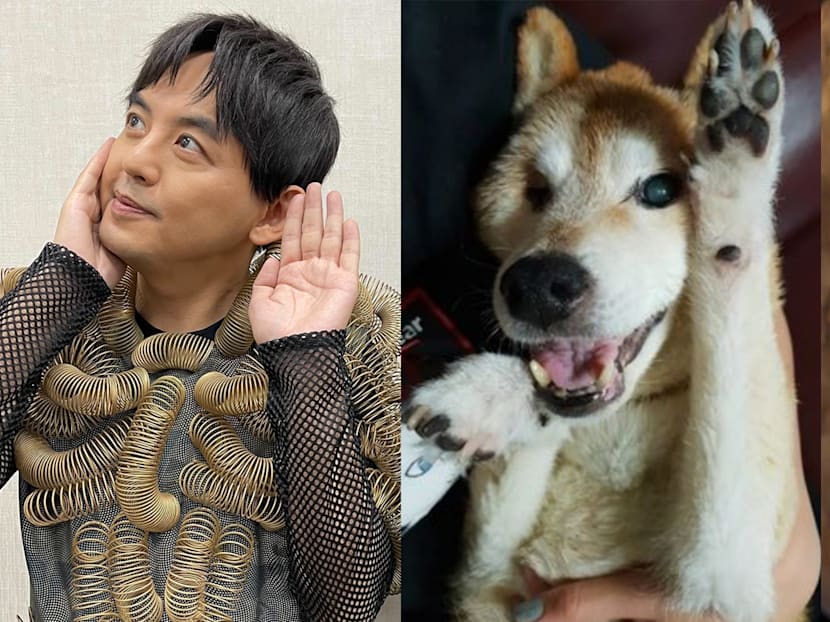 Mickey Huang Is Convinced His Late Dog Has Returned As His Unborn Daughter After Seeing This Ultrasound Scan