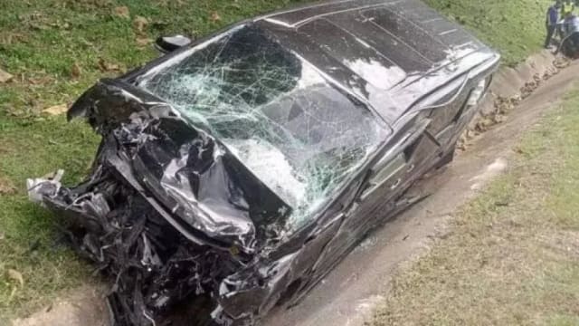 柔佛南北大道山猪突闯马路 司机闪不及撞路旁身亡