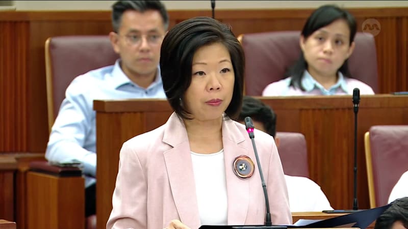 Sim Ann on measures to prevent accidents along Tanah Merah Coast Road 