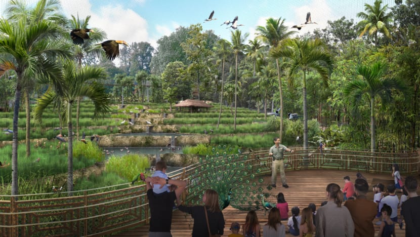 New bird park featuring over 400 species set to open in Mandai in Q2 2023
