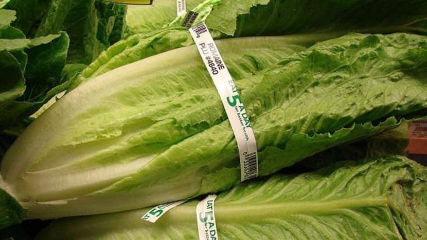 Salad dijangkiti kuman e-coli, 22 orang masuk hospital