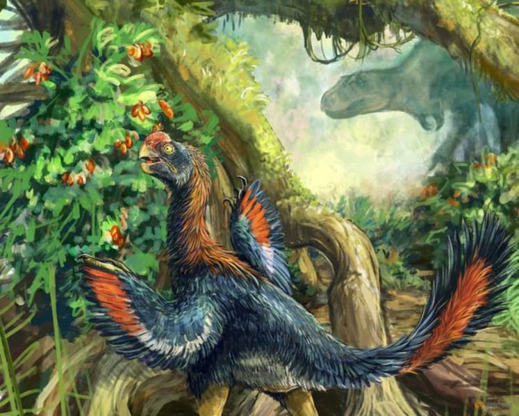 Strange beaked 'hell chicken' is the first fruit-eating dinosaur