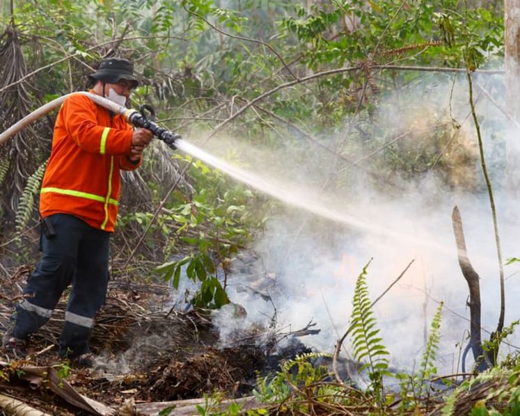 Wildfires spread near Indonesia's new capital, prompting calls for action