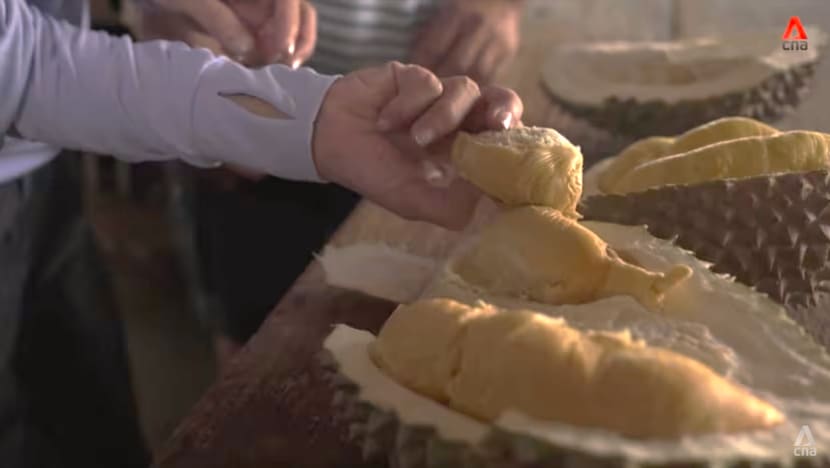 New thorns in town? Here’s why Tupai King, other new durian varieties may be mislabelled New thorns in town? Here’s why Tupai King, other new durian varieties may be mislabelled