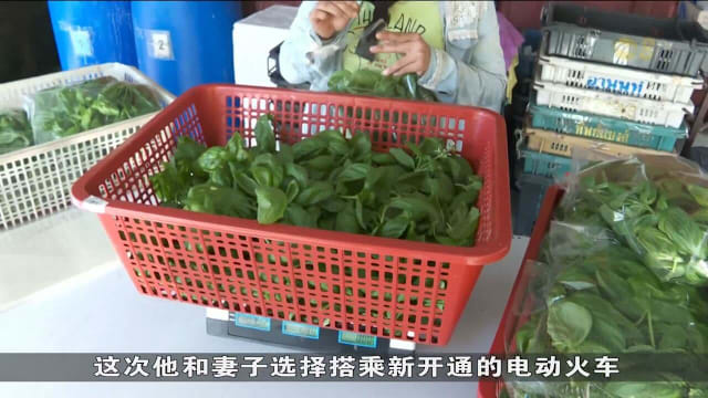 柔佛州选提前投票开启 政党积极动员选民返乡投票