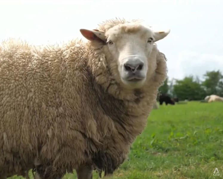 Is the UK heading towards a food supply crisis?