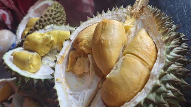 #sgdeals 榴梿季回归，甘榜榴梿$2一个、猫山王1kg只需$10！