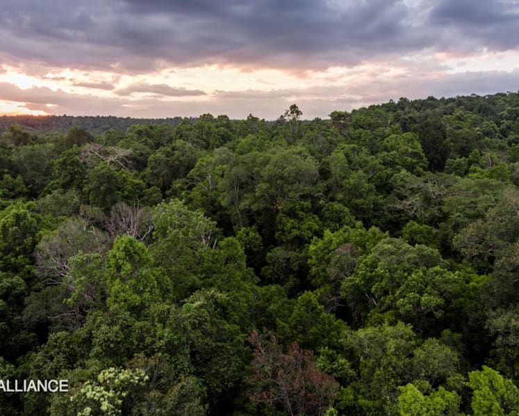 Google will provide US$1 million to Singapore's Mandai Nature to tackle climate crisis