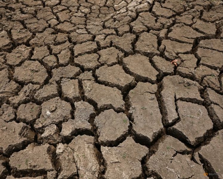 El Nino could cause 451,000 extra heat deaths: Research