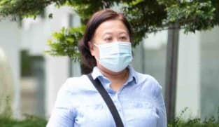 Woman who acted as a lawyer when she did not have a practising certificate pleads guilty