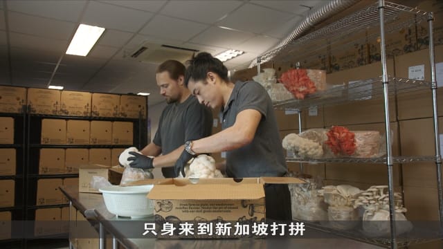 狮城有约 | 创业教会我的事：该找搭档吗？